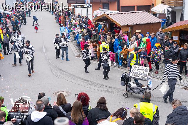 Foto Laudi_Pleintinger_Faschingszug-206115.jpg